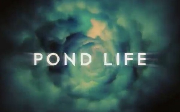 Pond Life 5